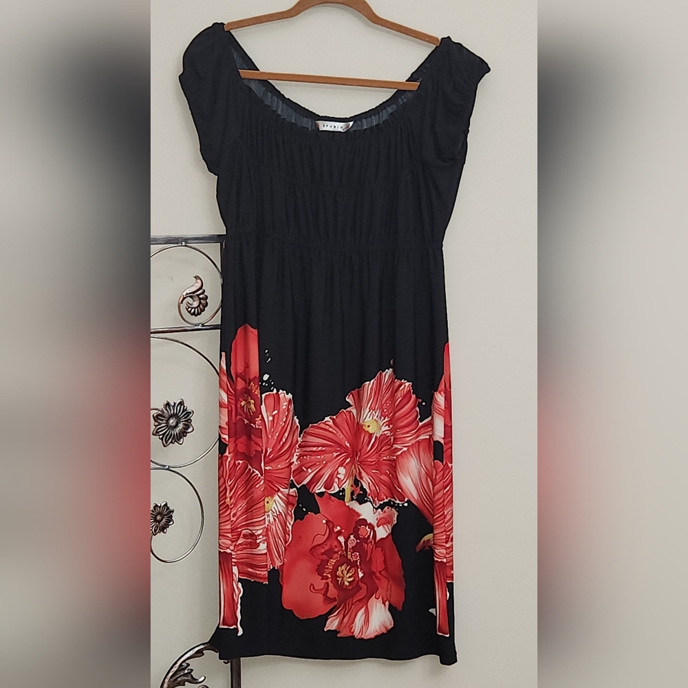 Studio AA Knee Length Black and Red Dress.  Great for going out.